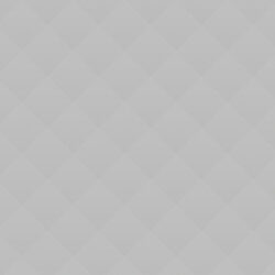 Pet Friendship Story Pet Friendship Story