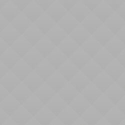 PetRescue Pet of the Week: Rogger PetRescue Pet of the Week: Rogger